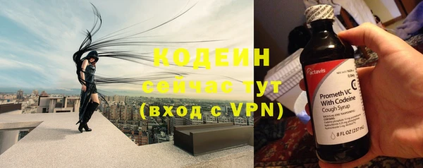 соль ск Дмитровск