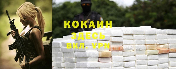 стафф Дмитриев