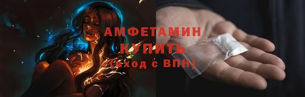 соль ск Дмитровск