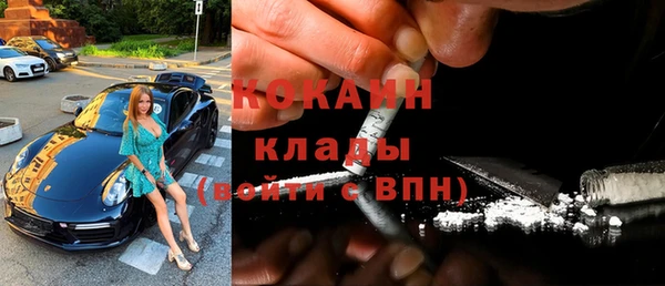 стафф Дмитриев