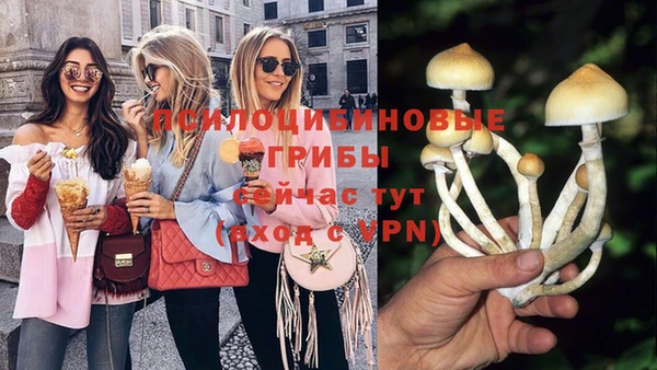 стафф Дмитриев