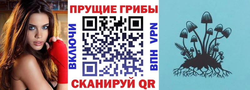 даркнет сайт  Обь  Псилоцибиновые грибы мухоморы 