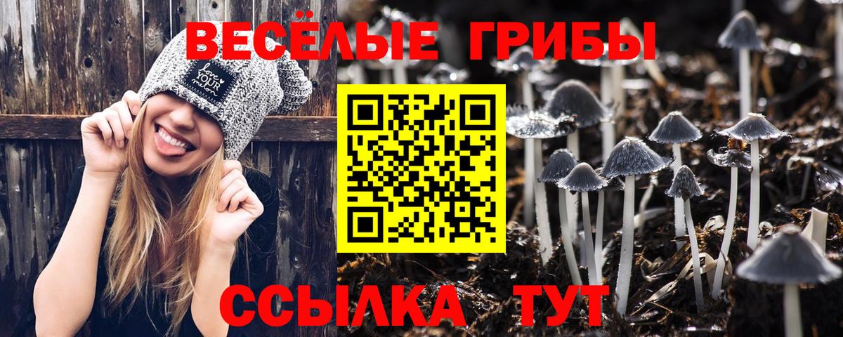 Псилоцибиновые грибы Psilocybine cubensis  Псилоцибиновые грибы Psilocybe  Вход с VPN  Обь 